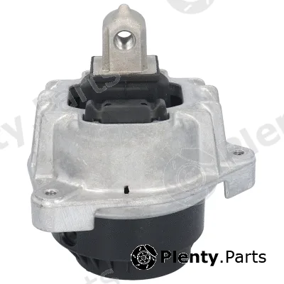 Birth 53508 — Mounting, engine