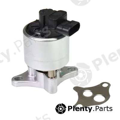 Birth 90070 — EGR Valve