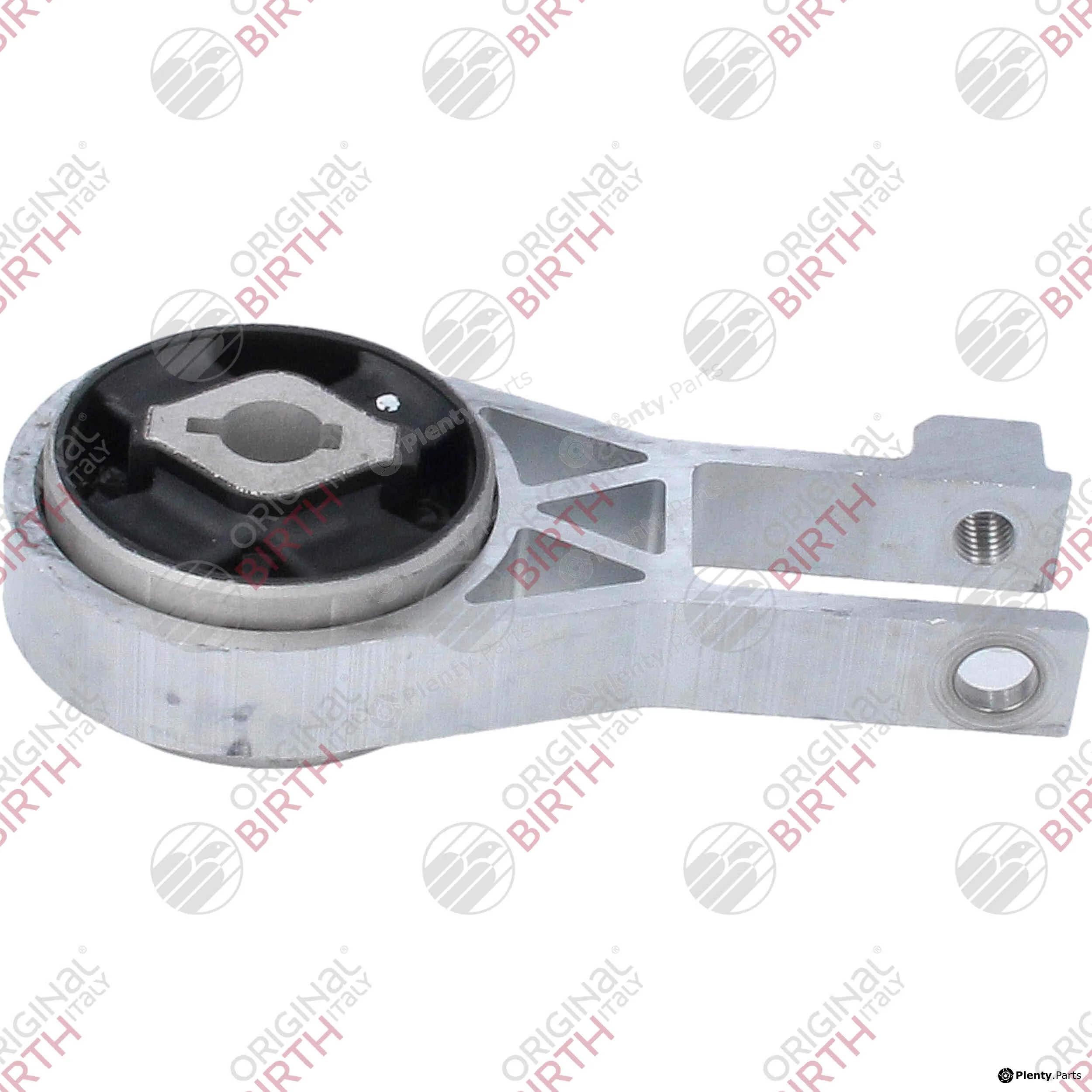 Birth 57044 — Mounting, engine