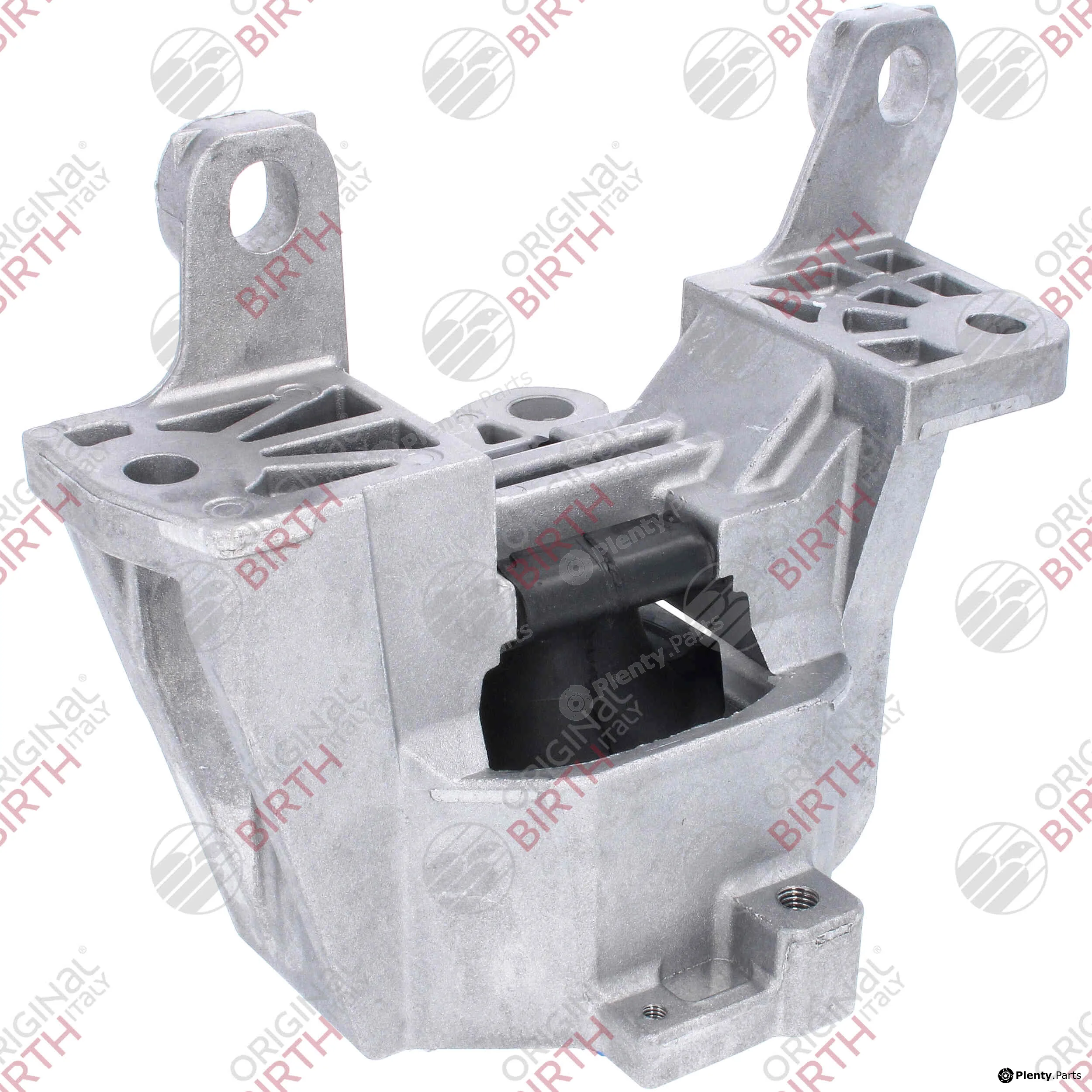 Birth 53780 — Mounting, engine