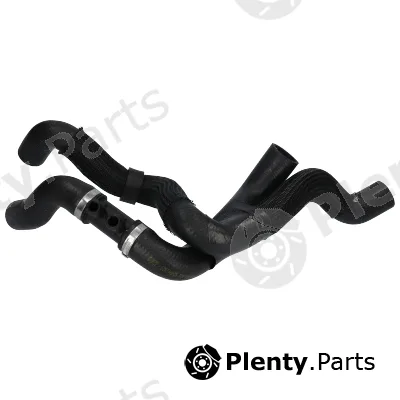 Birth 55195 — Radiator Hose