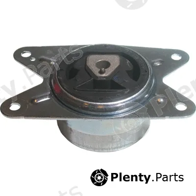 Birth 50491 — Mounting, engine