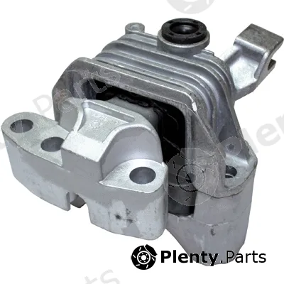 Birth 50035 — Mounting, engine