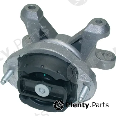 Birth 50954 — Mounting, engine
