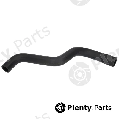 Birth 54837 — Radiator Hose