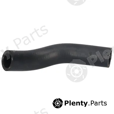 Birth 56204 — Radiator Hose