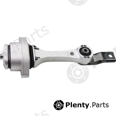 Birth 53309 — Mounting, engine