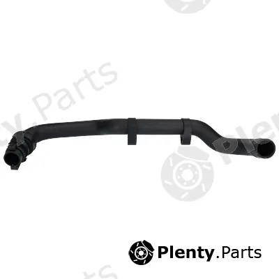 Birth 54900 — Radiator Hose