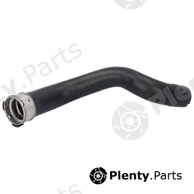 Birth 55579 — Charge Air Hose