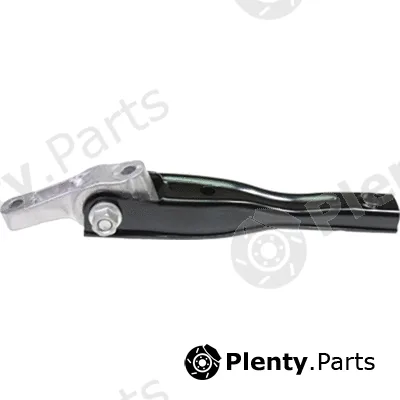 Birth 53091 — Mounting, engine