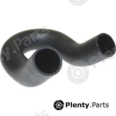 Birth 52568 — Charge Air Hose