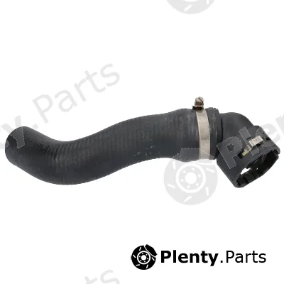 Birth 55319 — Radiator Hose