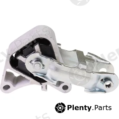 Birth 53320 — Mounting, engine