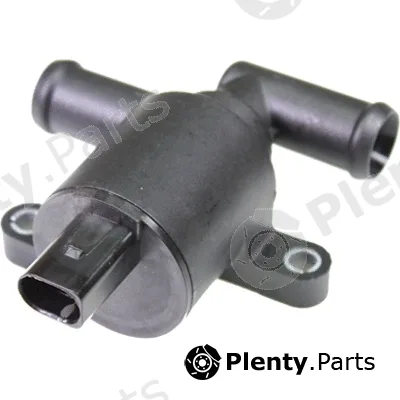 Birth 81143 — Coolant Control Valve