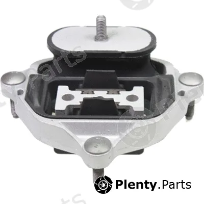 Birth 53079 — Mounting, engine