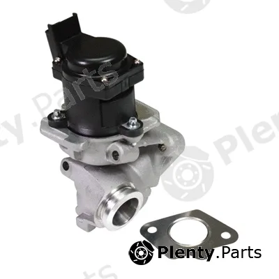 Birth 90058 — EGR Valve