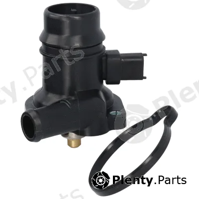 Birth 81767 — Coolant Flange
