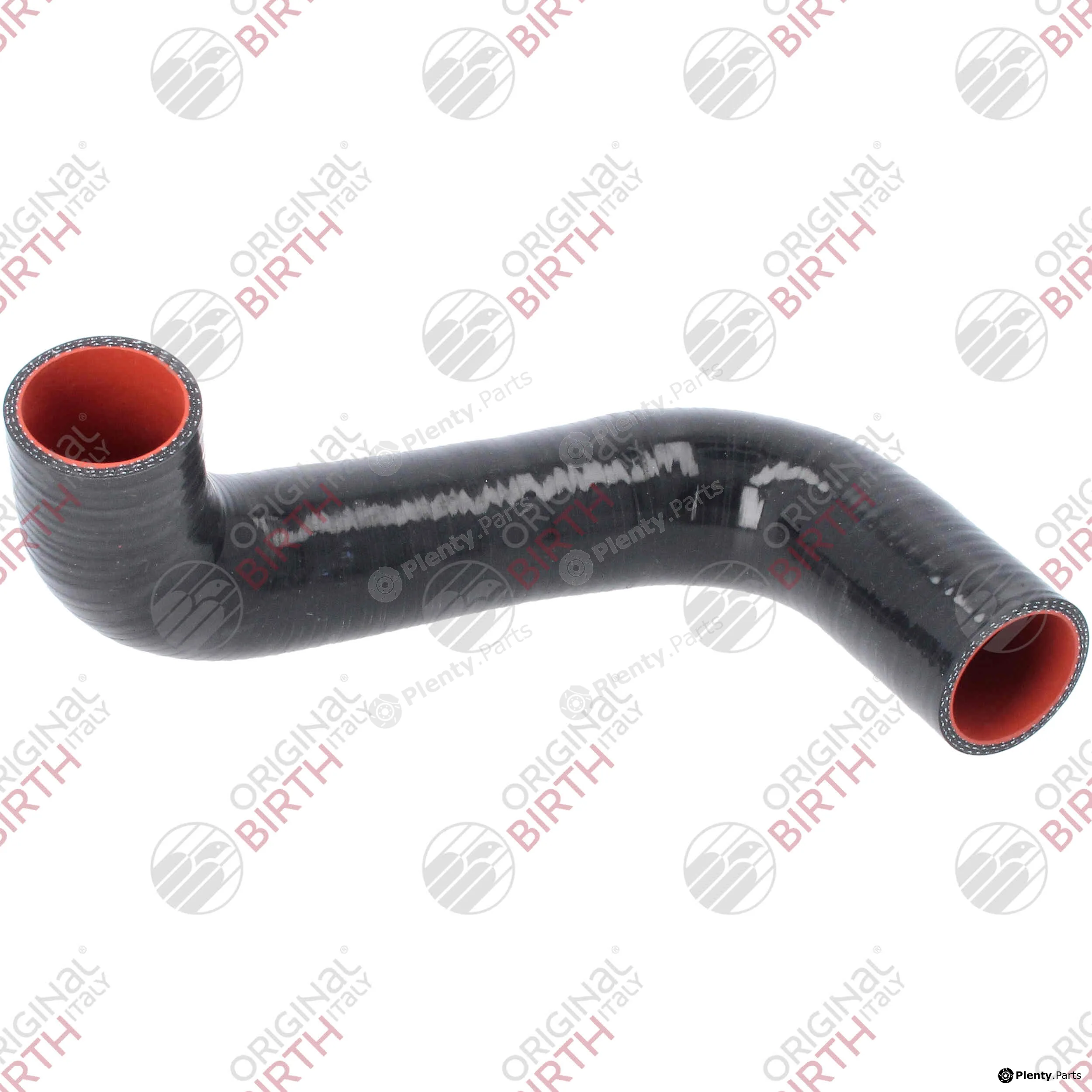 Birth 55749 — Charge Air Hose