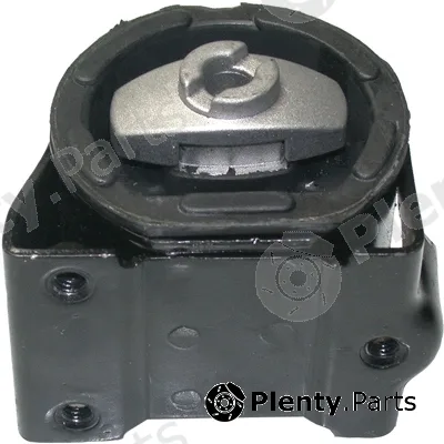 Birth 51296 — Mounting, engine