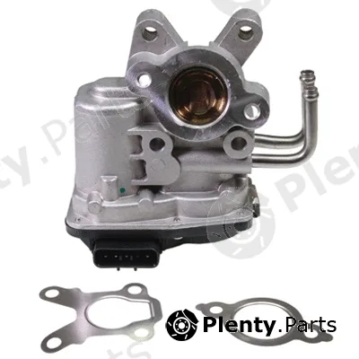 Birth 90023 — EGR Valve
