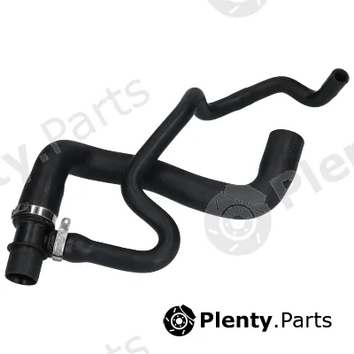 Birth 55288 — Radiator Hose