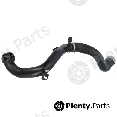 Birth 55578 — Charge Air Hose