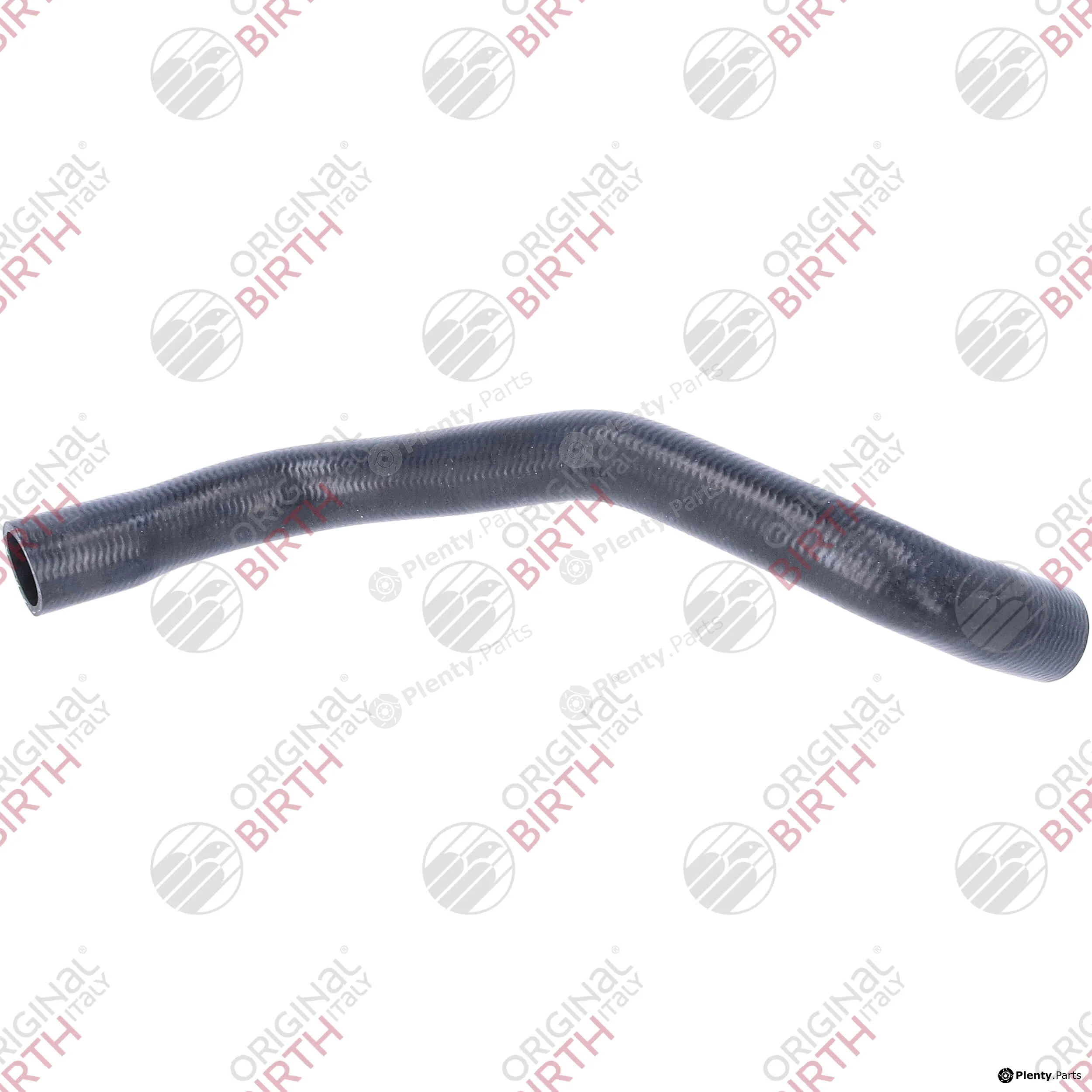 Birth 55341 — Radiator Hose
