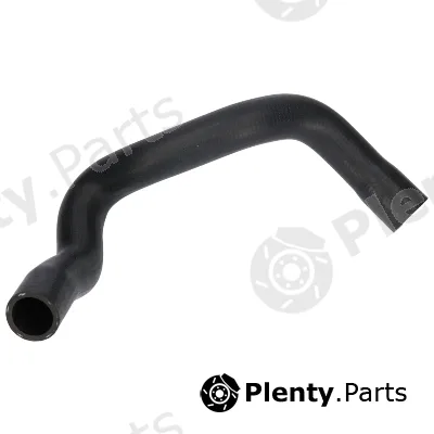 Birth 55229 — Radiator Hose