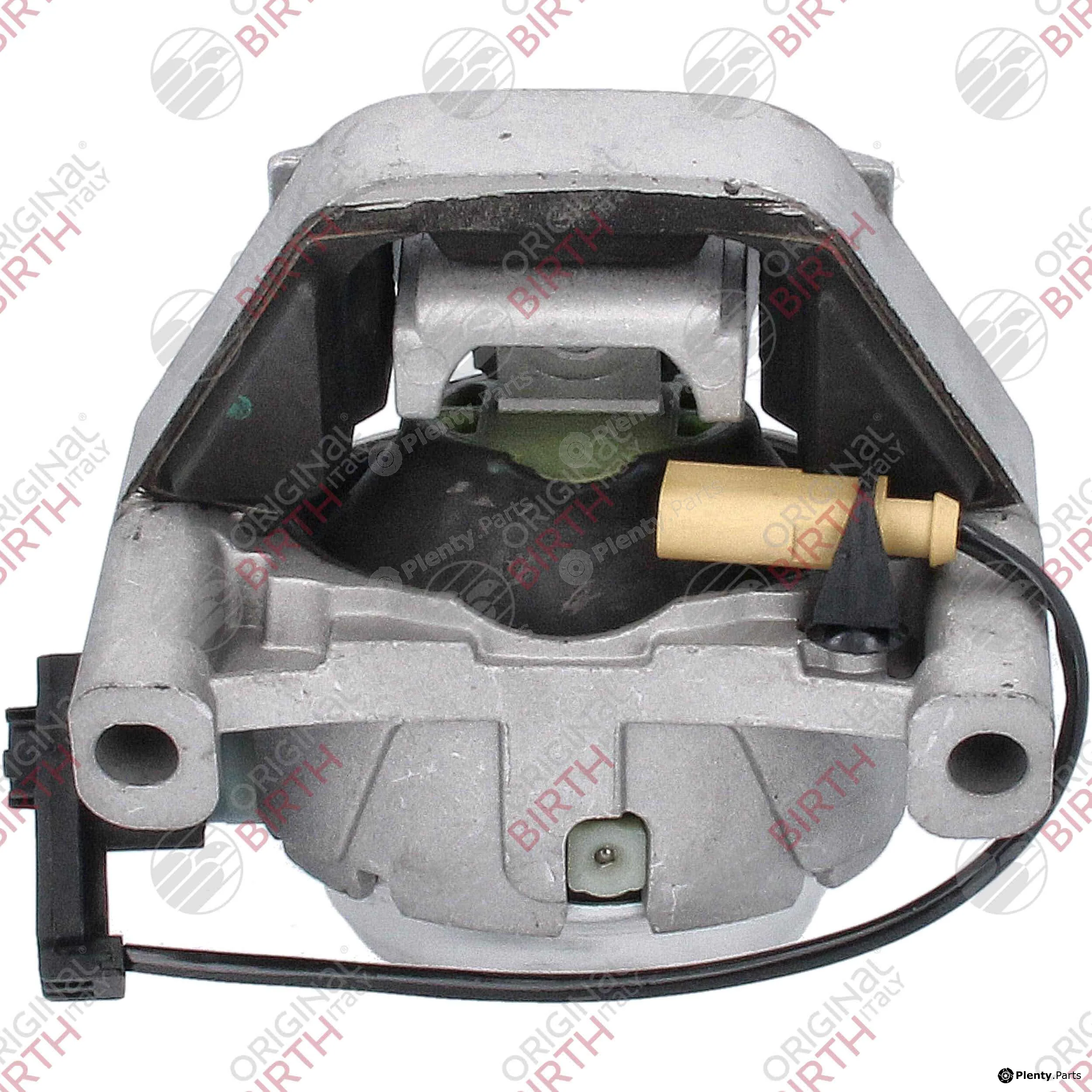 Birth 57103 — Mounting, engine
