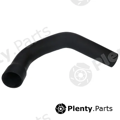 Birth 55517 — Charge Air Hose