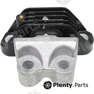Birth 53037 — Mounting, engine
