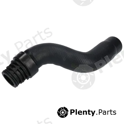 Birth 54938 — Radiator Hose