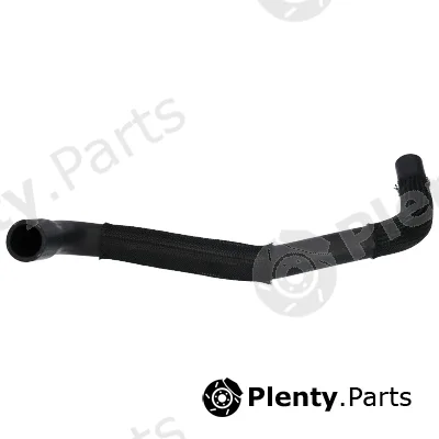 Birth 54892 — Radiator Hose
