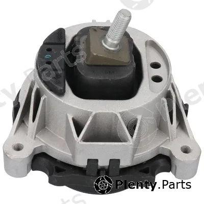 Birth 53499 — Mounting, engine