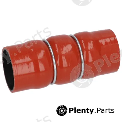 Birth 55556 — Charge Air Hose