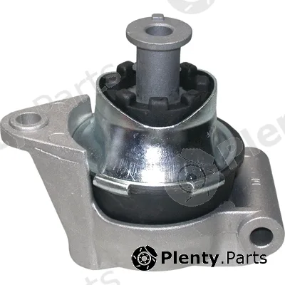 Birth 50490 — Mounting, engine