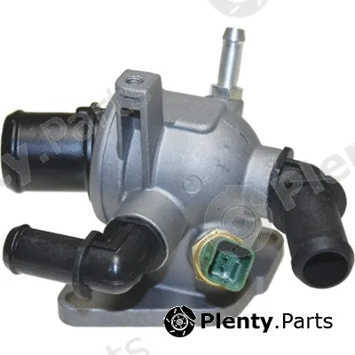 Birth 80019 — Coolant Flange