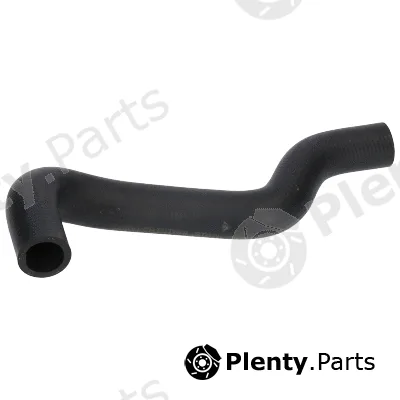 Birth 54800 — Radiator Hose