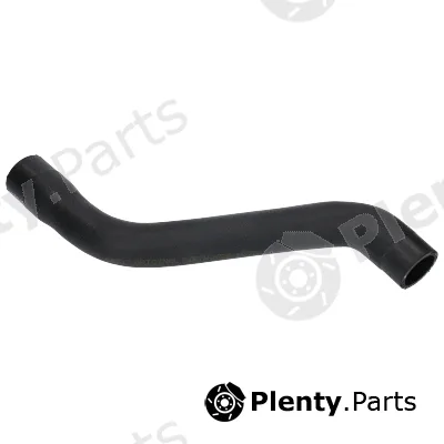Birth 54737 — Radiator Hose