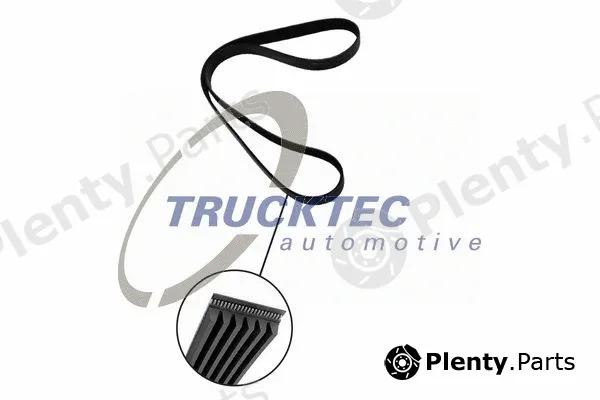 Trucktec Automotive 08.19.066 — V-Ribbed Belt
