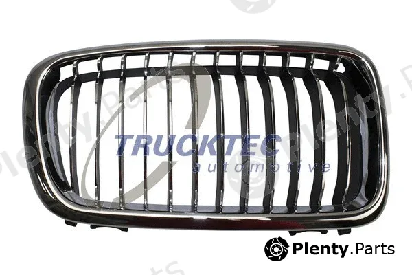 Trucktec Automotive 08.62.305 — Radiator Grille