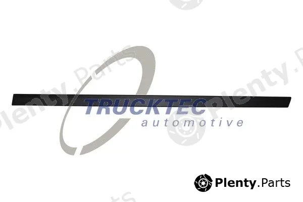 Trucktec Automotive 08.62.898 — Trim/Protection Strip, door