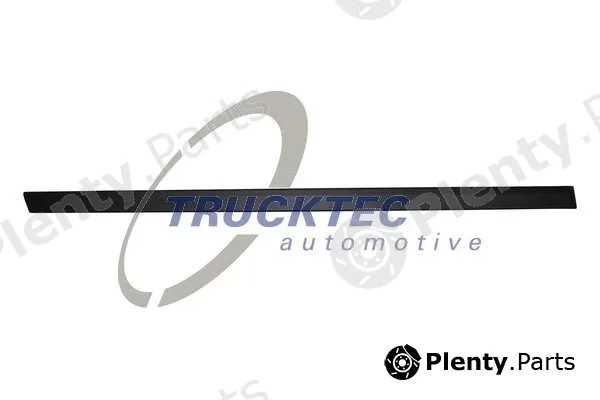 Trucktec Automotive 08.62.901 — Trim/Protection Strip, door