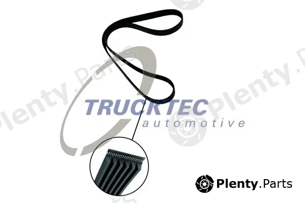 Trucktec Automotive 02.19.342 — V-Ribbed Belt