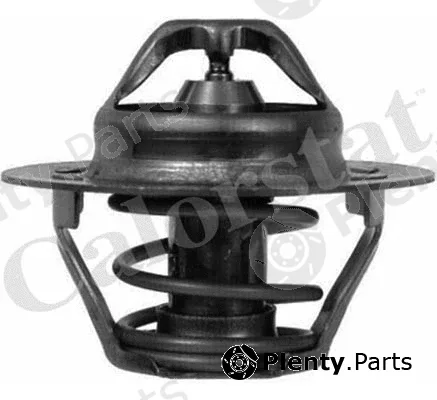 CALORSTAT by Vernet TH6045.89J — Thermostat, coolant