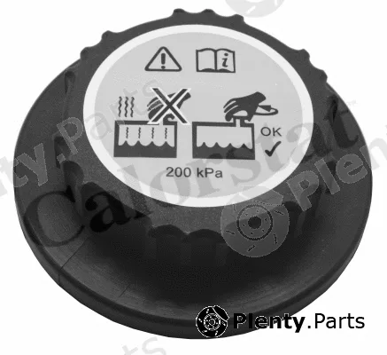 CALORSTAT by Vernet RC0156 — Cap, coolant tank