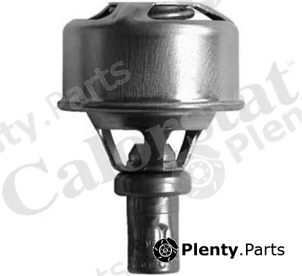 CALORSTAT by Vernet TH4495.89 — Thermostat, coolant