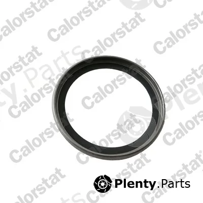 CALORSTAT by Vernet J239 — Seal, thermostat