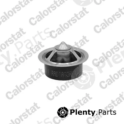 CALORSTAT by Vernet TBS1013.89 — Thermostat, coolant