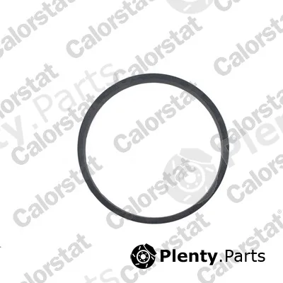 CALORSTAT by Vernet J243 — Seal, thermostat
